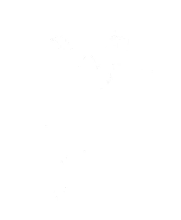 Профессиональный юрист ЛегаРес - консультации и судебное представительство